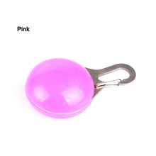 Load image into Gallery viewer, LED Flashlight Dog Cat Collar Glowing Pendant Night Safety Pet Leads Necklace Luminous Bright Decoration Collars For Dogs
